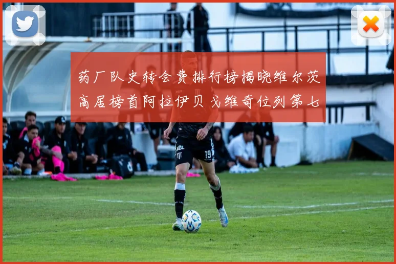 药厂队史转会费排行榜揭晓维尔茨高居榜首阿拉伊贝戈维奇位列第七