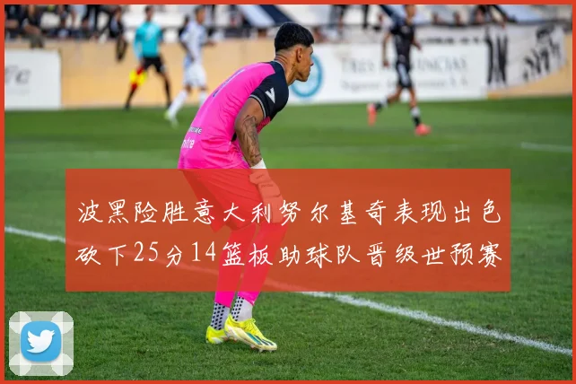 波黑险胜意大利努尔基奇表现出色砍下25分14篮板助球队晋级世预赛